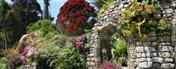 Tresco Abbey Gardens, The Isles of Scilly